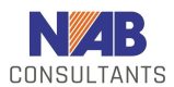 NAB Consultants Logo_page-0001