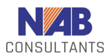 NAB-Consultants-Logo_page-0001-e1720632593599